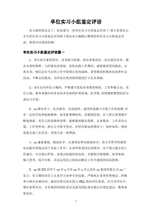 单位实习小组鉴定评语