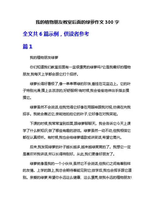 我的植物朋友教室后面的绿萝作文300字
