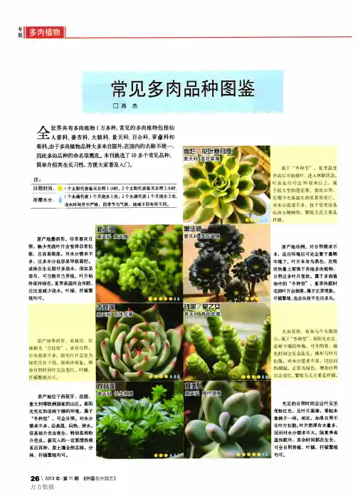 常见多肉品种图鉴