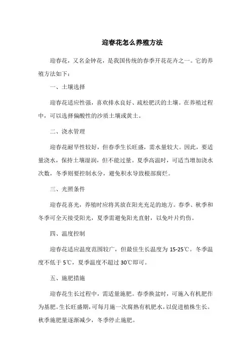 迎春花怎么养殖方法