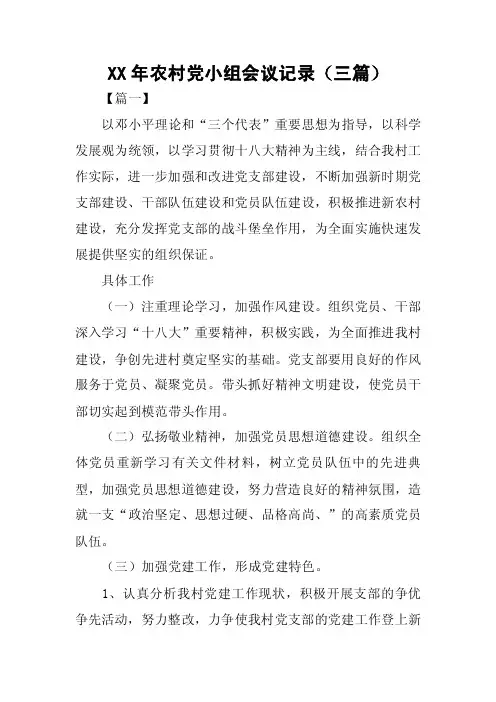 XX年农村党小组会议记录（三篇）