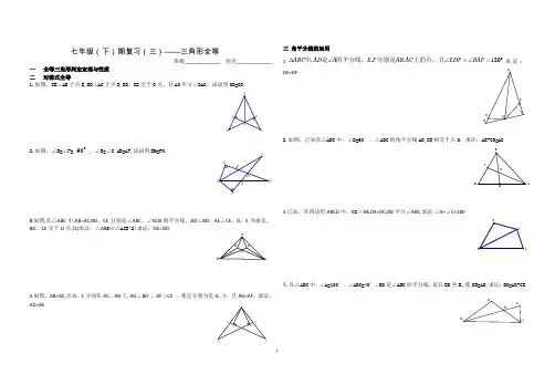 七年级下册数学专题：三角形全等专题复习