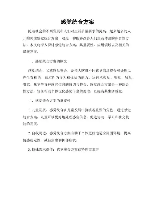 感觉统合方案