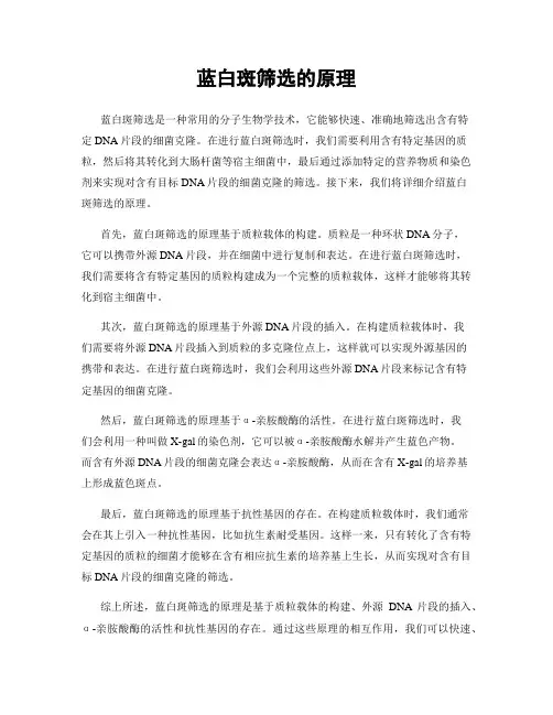 蓝白斑筛选的原理