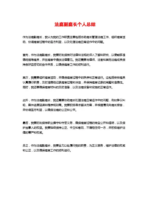 法庭副庭长个人总结