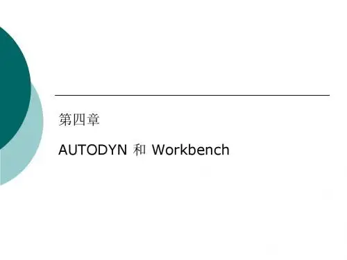 第四讲 AUTODYN 和 Workbench