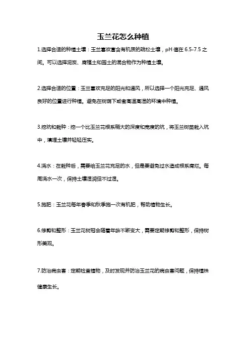 玉兰花怎么种植