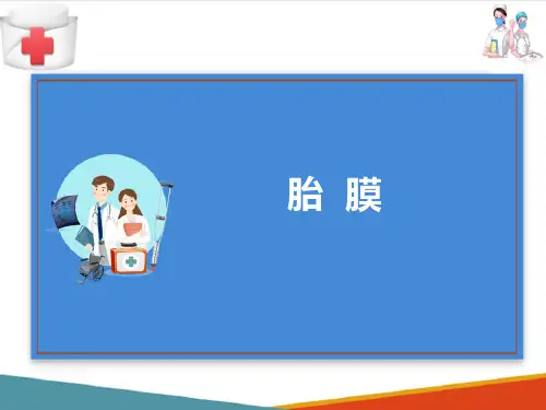 人体胚胎学概论—胎膜和胎盘(人体结构与功能课件)
