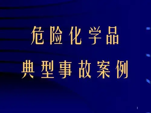 典型事故案例(2006.11)