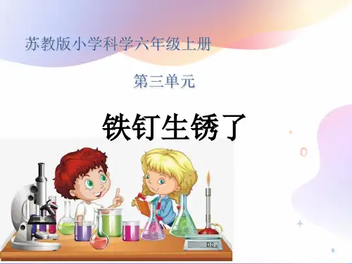 小学科学苏教版《铁钉生锈了》ppt教学课件1
