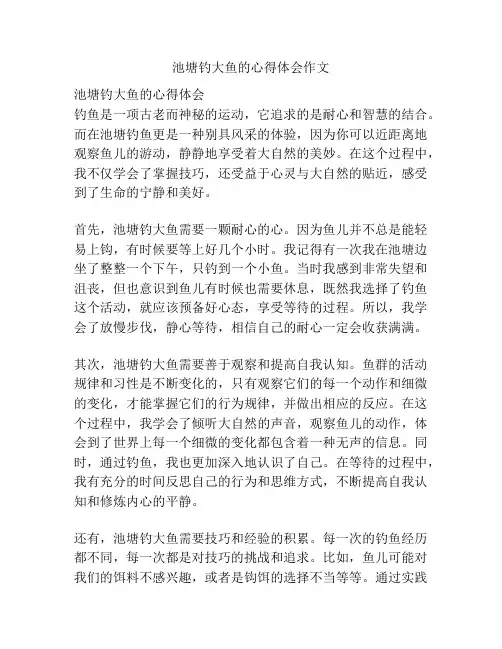 池塘钓大鱼的心得体会作文