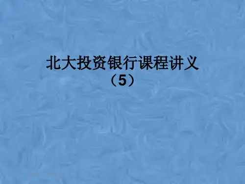 北大投资银行课程讲义(5)