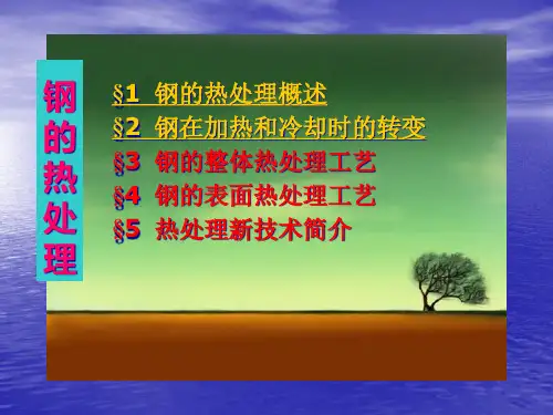 钢的热处理-金属工艺学PPT课件
