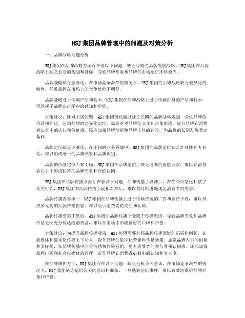 HSJ集团品牌管理中的问题及对策分析