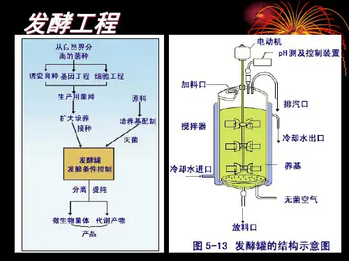 第五章发酵罐ppt课件