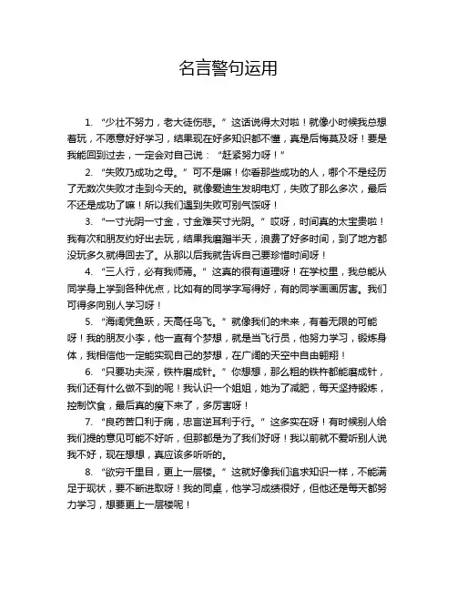 名言警句运用
