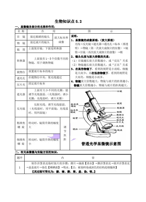 生物知识点显微镜,细胞
