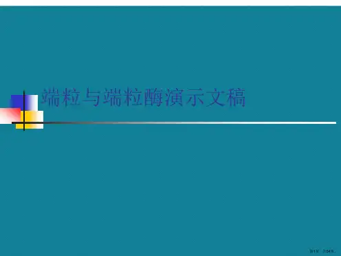 端粒与端粒酶演示文稿