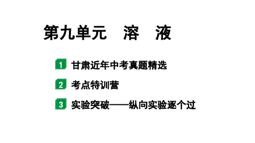 2024甘肃中考化学一轮复习之中考考点研究 第九单元 溶液(课件)