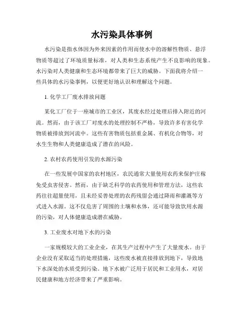 水污染具体事例