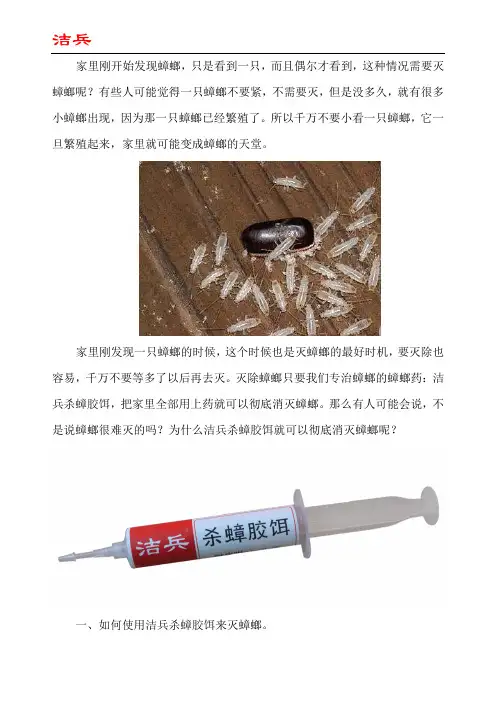 家里偶尔发现一只蟑螂怎么处理