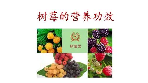 树莓的营养功效
