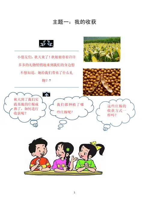 小学六年级上册综合实践活动校本课程教材