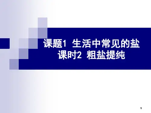 化学粗盐提纯PPT课件