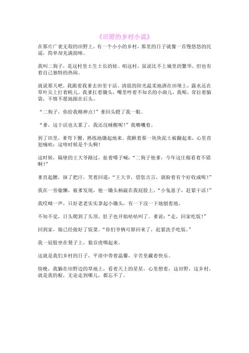《田野的乡村小说》