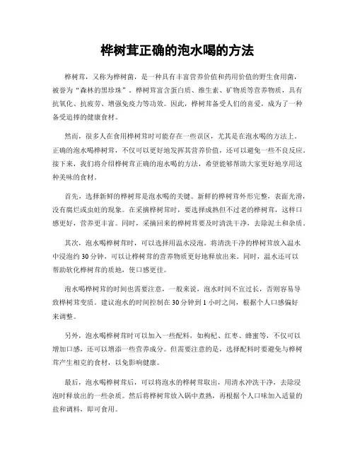 桦树茸正确的泡水喝的方法