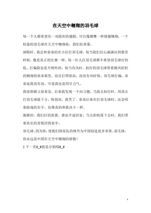 在天空中翱翔的羽毛球
