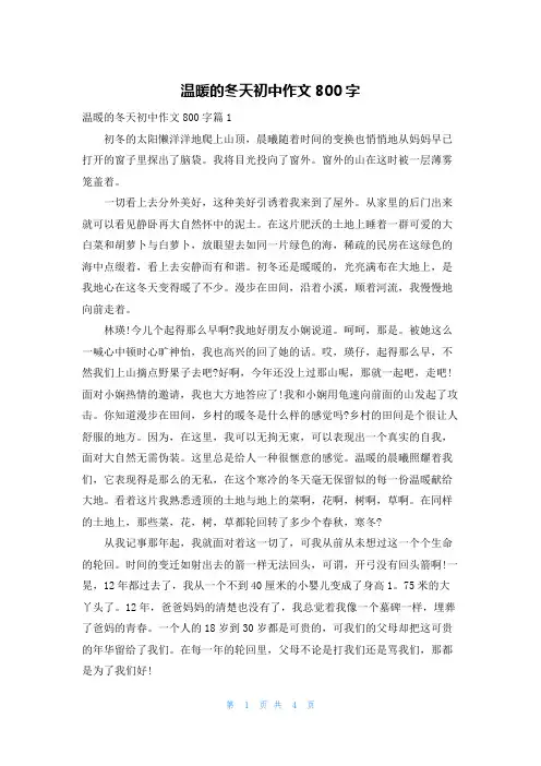 温暖的冬天初中作文800字