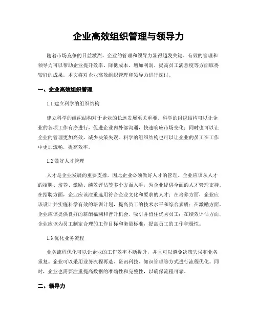 企业高效组织管理与领导力