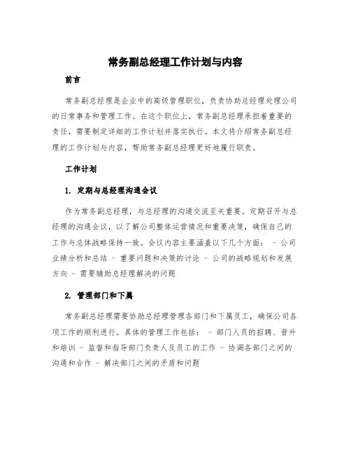 常务副总经理工作计划与内容