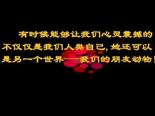 鹤群PPT19 语文版 (共16张PPT)