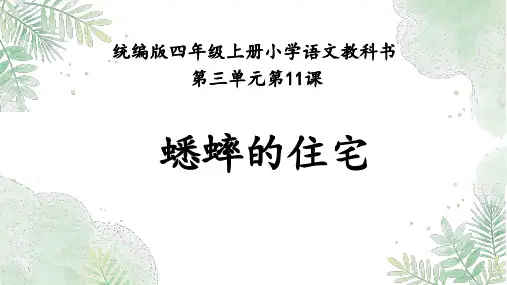 部编版语文四年级上册11蟋蟀的住宅第一课时课件(共15张PPT)
