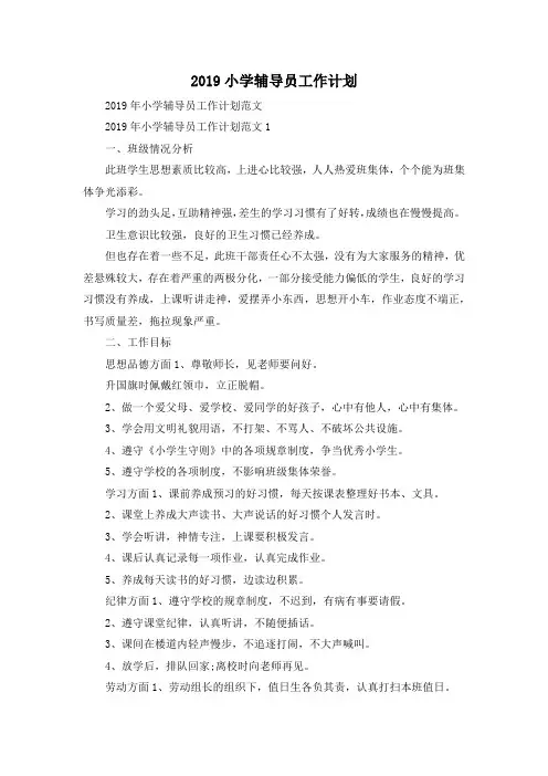 最新-2019小学辅导员工作计划 精品