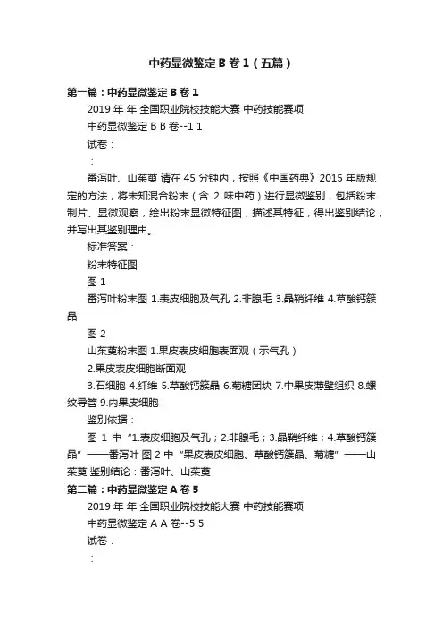 中药显微鉴定B卷1（五篇）