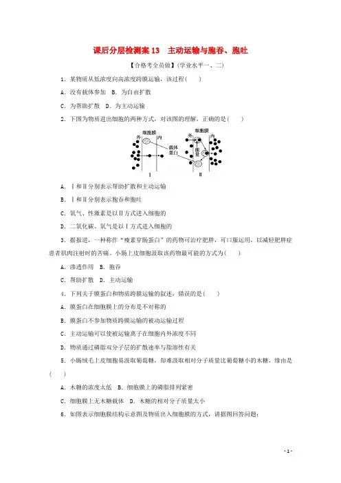 2024_2025学年新教材高中生物课后分层检测案13主动运输与胞吞胞吐含解析新人教版必修1
