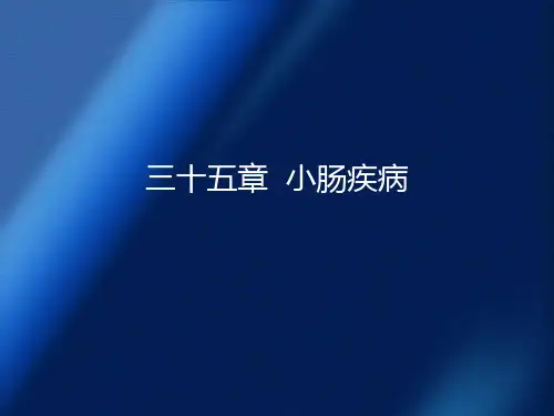 小肠疾病培训(培训内容)