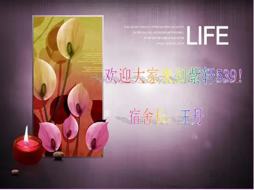 宿舍文化演讲ppt