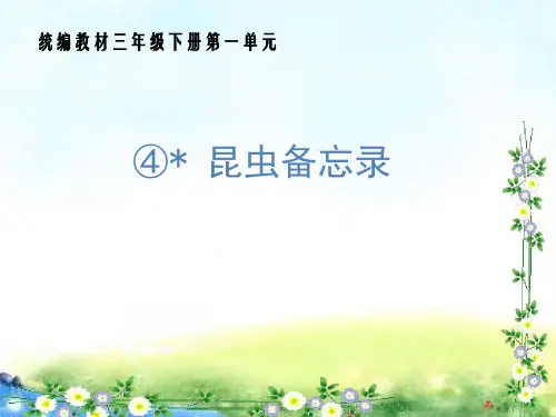 《昆虫备忘录》PPT教学课件 人教部编版(共31张PPT)
