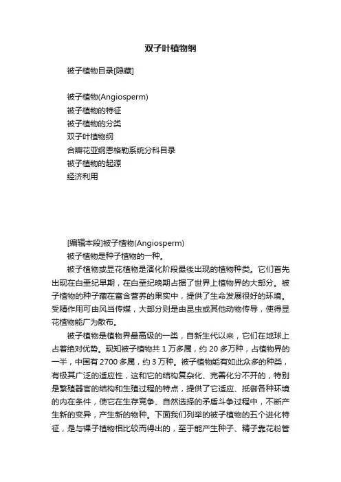 双子叶植物纲