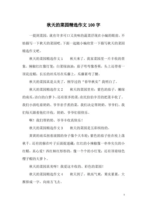 秋天的菜园精选作文100字