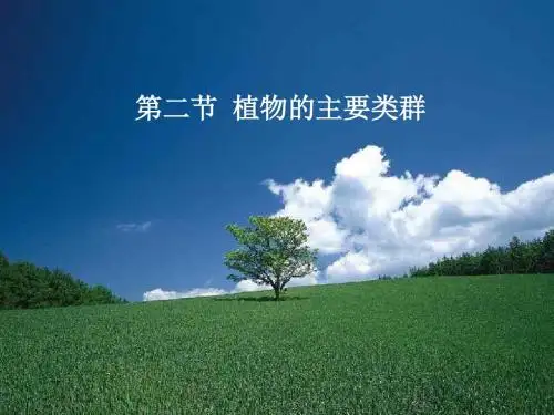 【初中生物】植物的主要类群PPT课件2