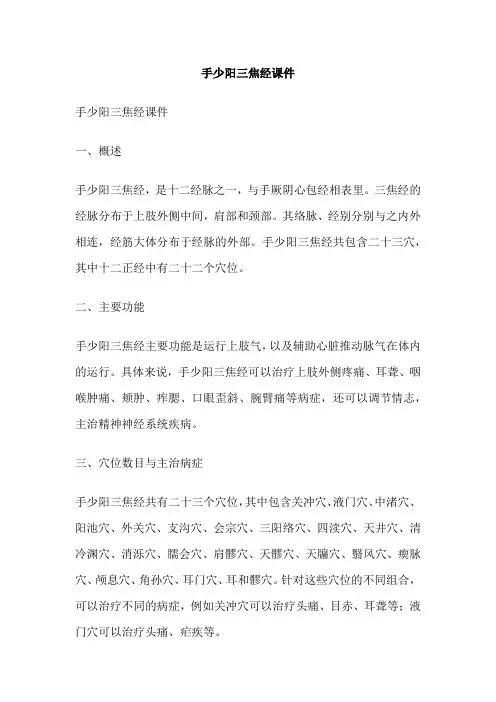 手少阳三焦经课件