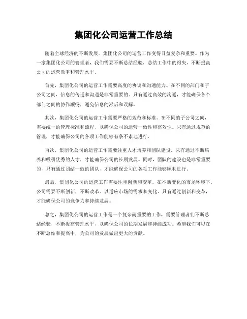 集团化公司运营工作总结