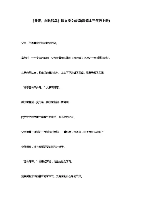 《父亲、树林和鸟》课文原文阅读(部编本三年级上册)