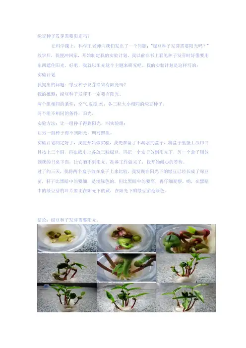 绿豆种子发芽需要阳光吗