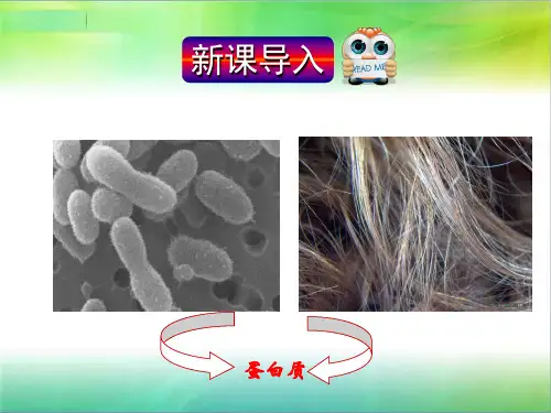 人教版高中化学选修5第四章4.3蛋白质和核酸上课课件